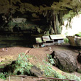 4D3N Miri City + Niah Cave + Borneo Tropical Rainforest