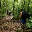 3D2N Mulu Headhunter Trails