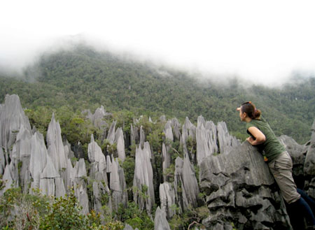 4D3N Mulu Caves + Pinnacles