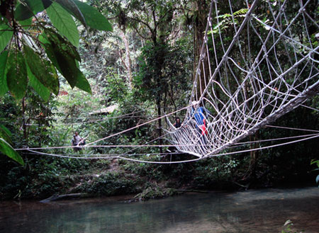 5D4N Mulu Pinnacles + Headhunter Trail