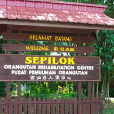 2D1N Selingan Turtle Island & Sepilok Orang Utan