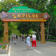 4D3N Sandakan Historical + Wildlife Tour + Selingan Island