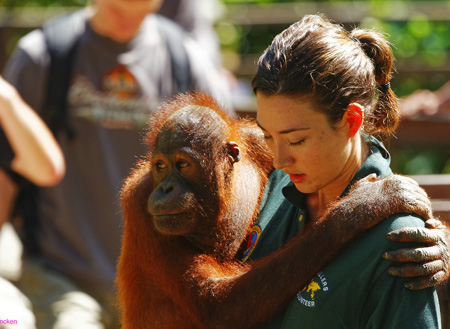 4D3N Sandakan Historical + Wildlife Tour + Selingan Island