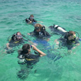 Semporna Discover Scuba Diving (For Non-Cert Diver)