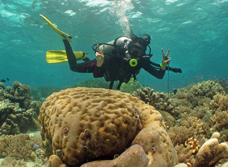 Semporna Fun Diving (For Cert Diver)